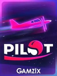 Pilot crash at F222 COM